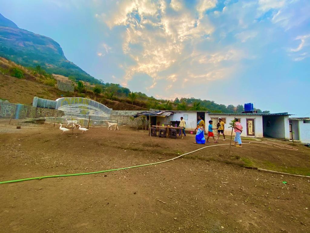 Jandyal Campsite