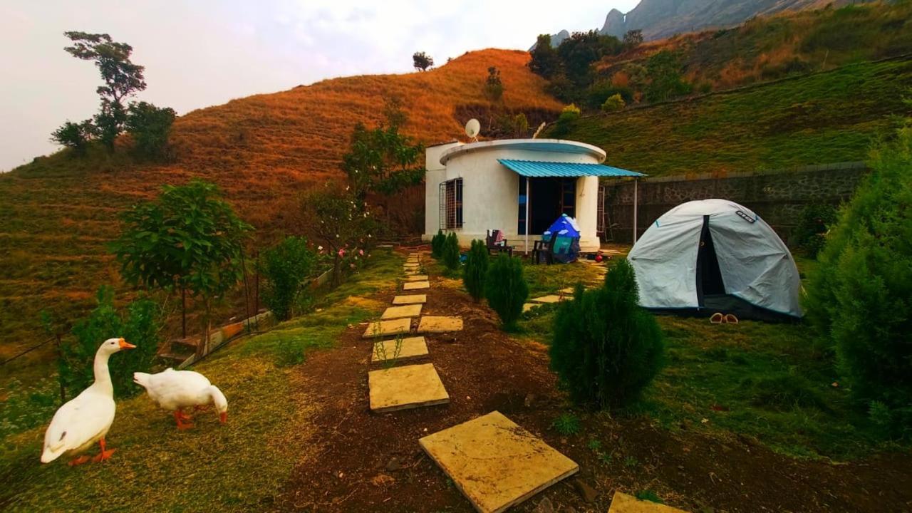 Jandyal Campsite Malshej Ghat