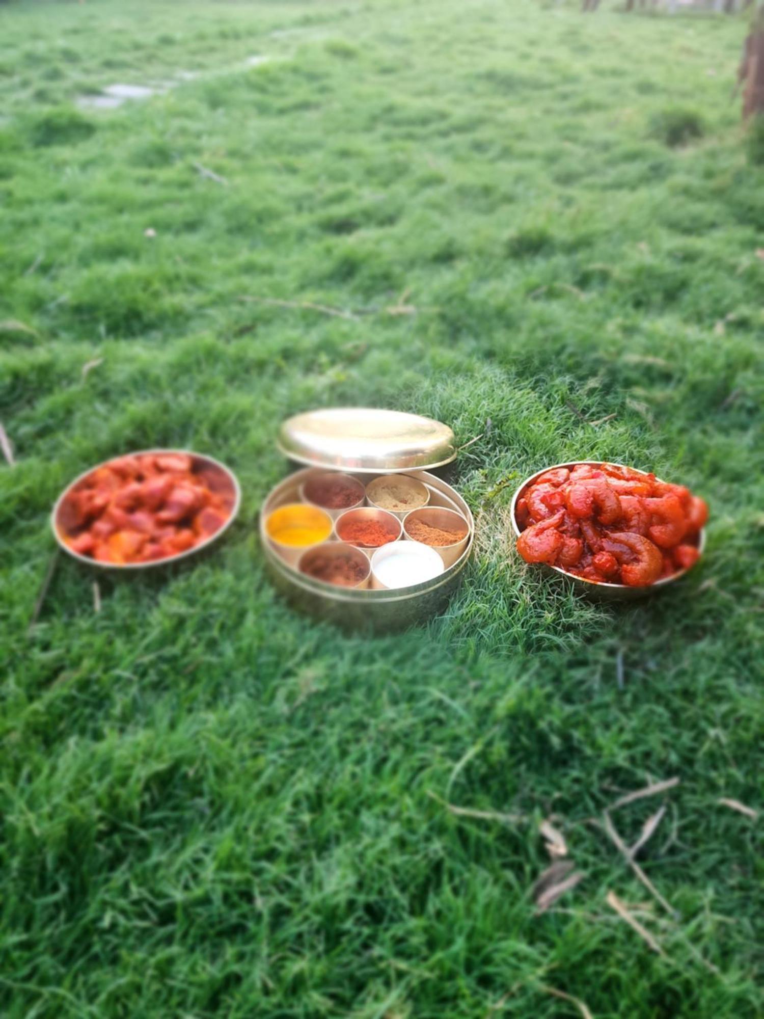 Jandyal *